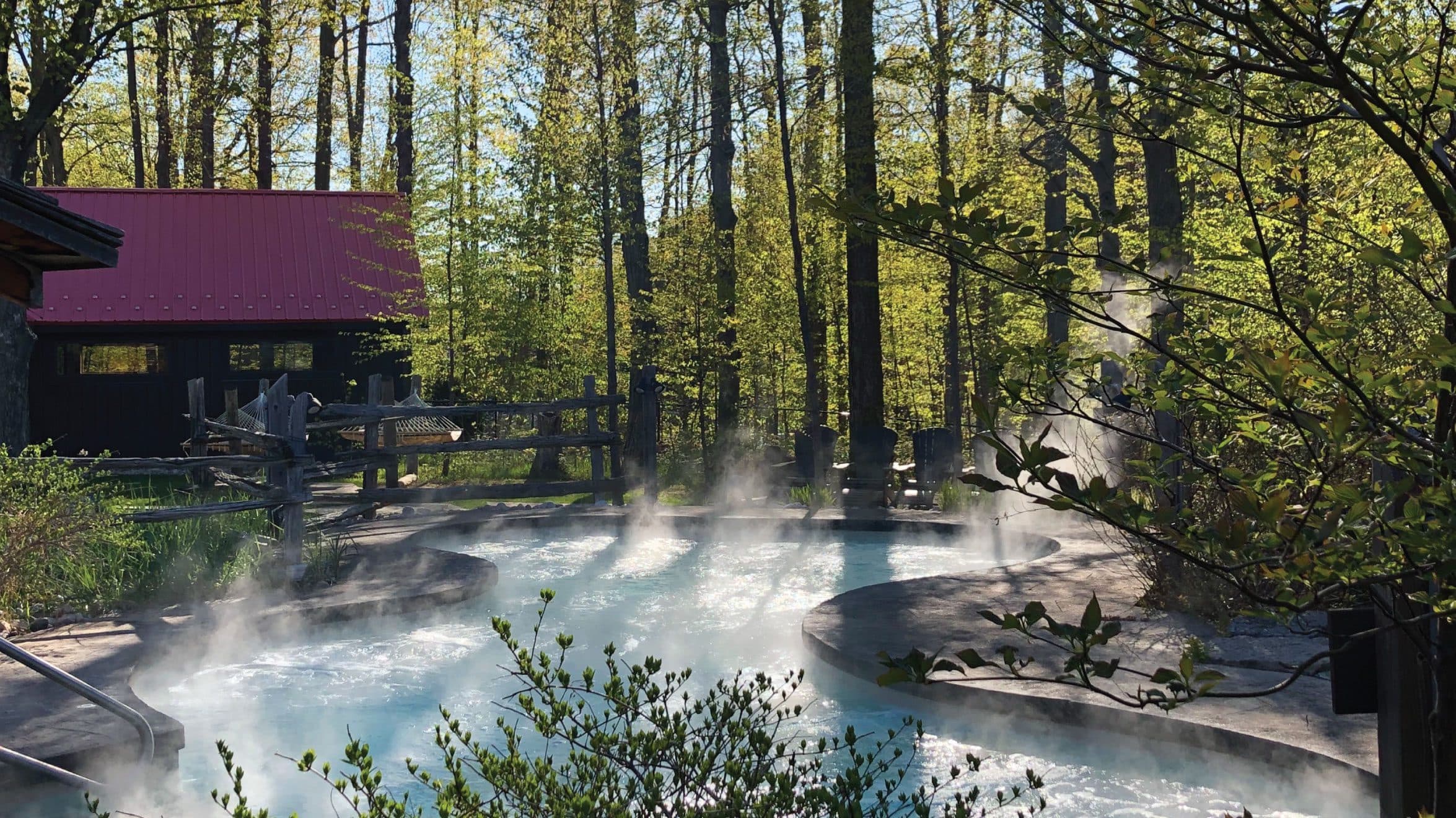 Relaxation and Renewal in Nature