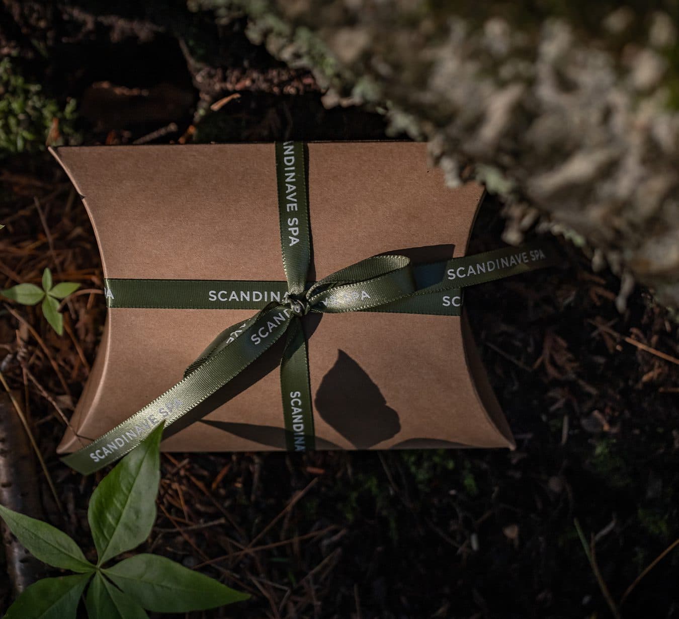 Adoptez un esprit des fêtes « local » cette année!